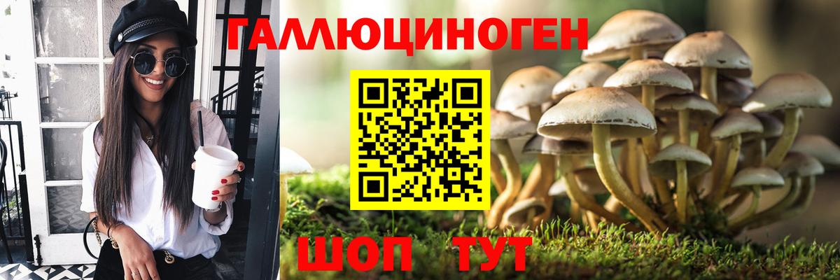Галлюциногенные грибы прущие грибы  Вход с VPN  Егорьевск 